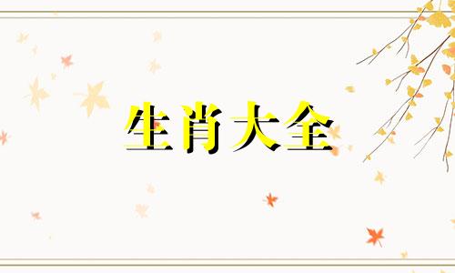 属虎人2024年1月桃花运势解析视频