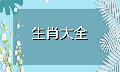 2024年属兔的人是什么命 2024年属兔犯太岁吗