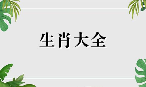 属兔2024年的运势及运程 2024年属兔人的全年每月