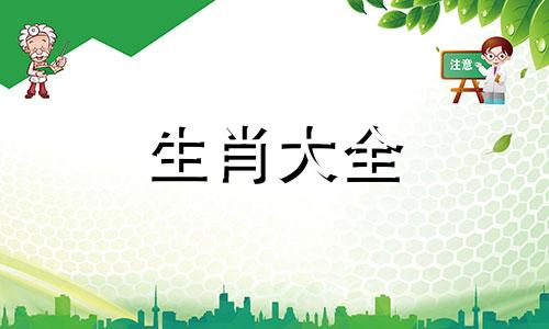 87年最佳婚配,属兔人的最佳配对生肖是什么