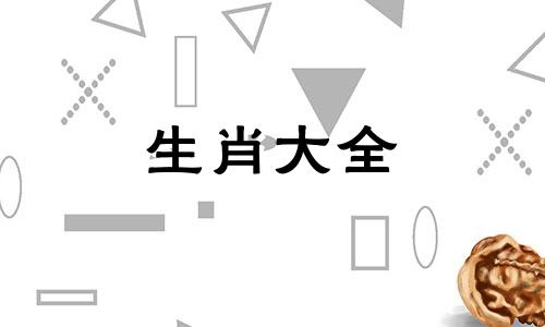 属兔人2024年运势及财运 2024年属兔人的全年每月