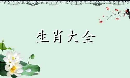 2005年属鸡2024年运势及运程详解  05年属鸡人2024年龙年每月运程