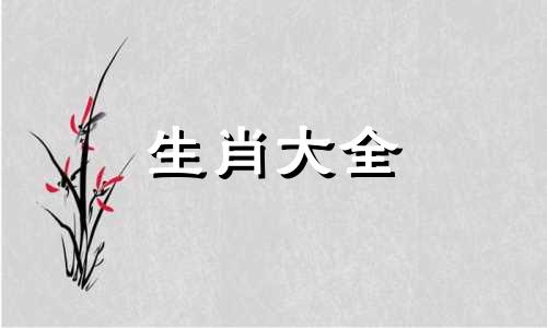 属鸡人2024运势及运程详解视频