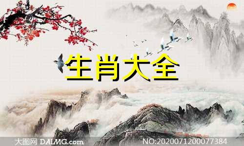 1995年属猪2024年运势及运程详解  95年属猪人2024年龙年每月运程