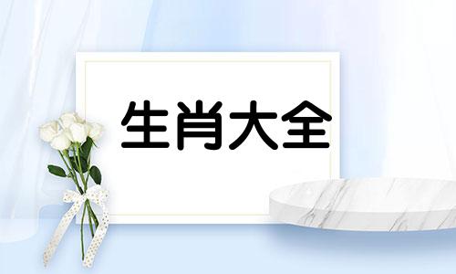 属猪人出生12个月12种不同命