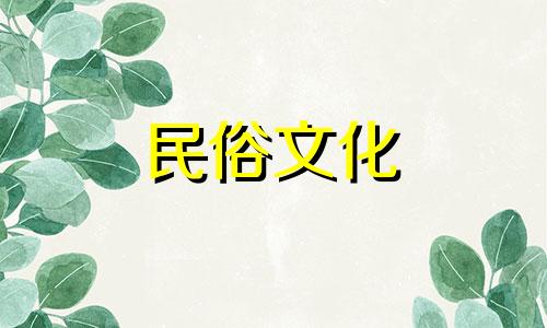 梦见头上被鸟拉了屎预兆着什么