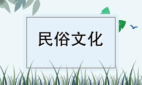 办公室养龟风水讲究什么 办公室养龟的风水有什么讲究