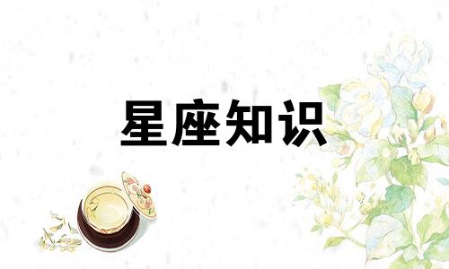 你是否会爱上这样的处女座英文