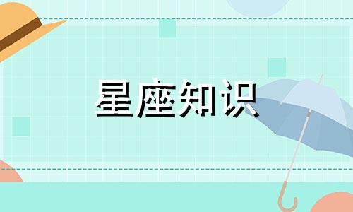 2024金牛座全年运势详解 2024年金牛座全年运势详解