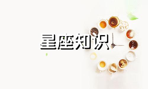 射手座2024年运势详解全年运程完整版