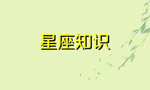 2020年白羊座全年运势如何