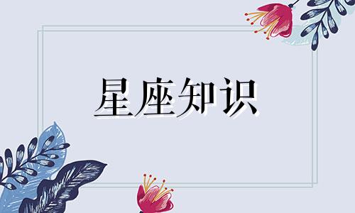 处女座2023年全年运势详解哔哩哔哩