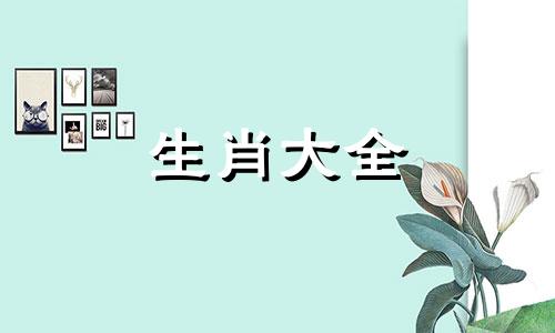 95属猪姻缘何时到1995属猪最佳结婚时间