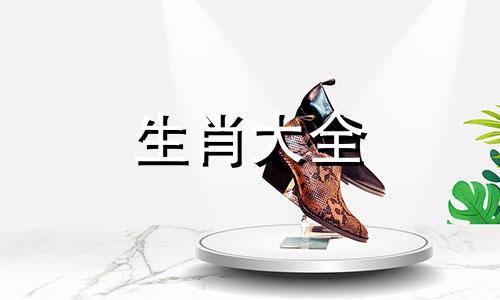 属蛇人适合戴什么饰品招财聚财吉利