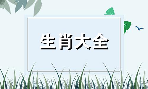 1969年属鸡男2024年全年运势如何