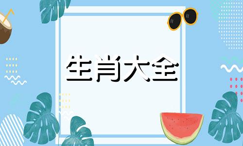 04年属猴男2024年运势及运程详解视频