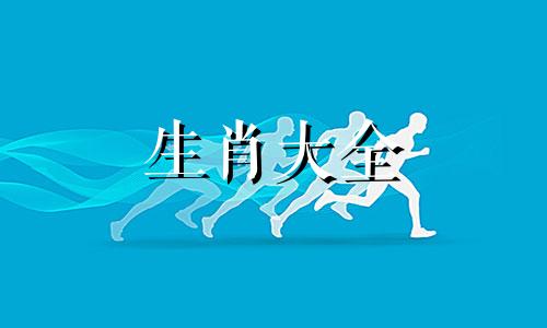 生肖兔2025年运势，属兔2025年运势及运程