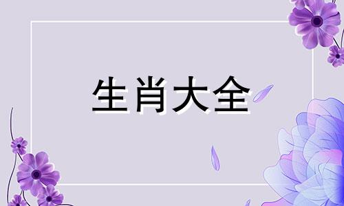 生肖马2025年运势，属马2025年运势及运程