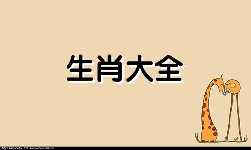 01年11月19日是什么星座 2001年11月19日属什么生肖