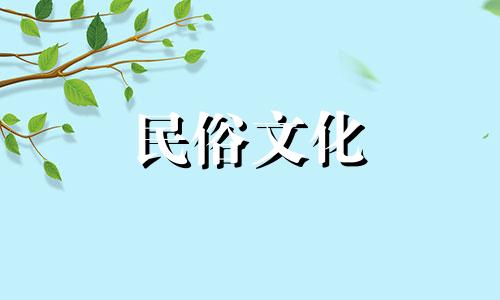 松柏木命男孩取什么名字好