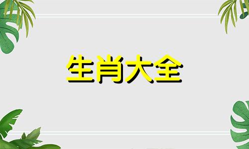 00龙女正缘什么时候来到 00年龙女最佳配偶