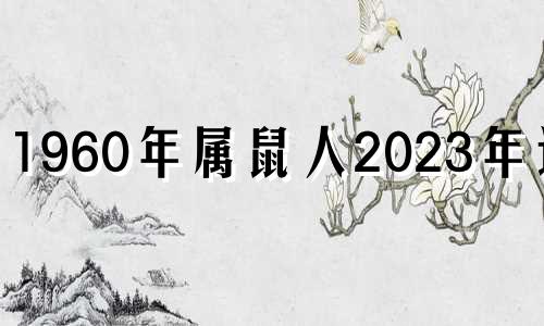 1960年属鼠人2023年运势 1960年鼠在2020年的运势