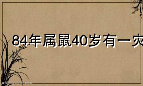 84年属鼠40岁有一灾 84属鼠二次婚姻在几岁