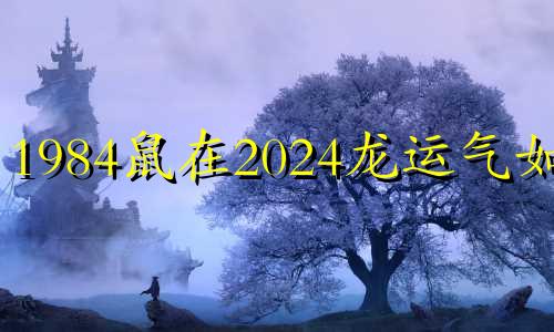 1984鼠在2024龙运气如何 属鼠2024年家破人亡