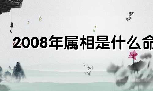 2008年属相是什么命 2008年属相是什么?