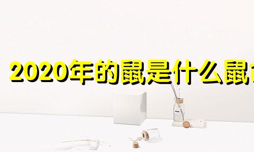 2020年的鼠是什么鼠命 2020年的鼠是什么鼠好吗