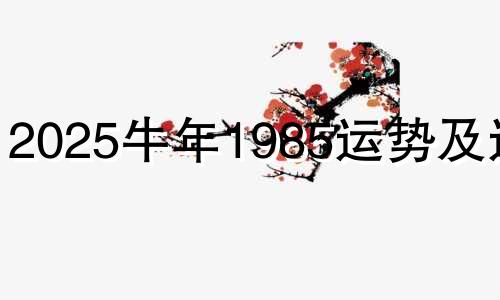 2025牛年1985运势及运程 2024年牛女的全年运势