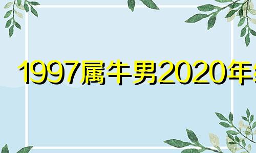 1997属牛男2020年结婚 1997年属牛男在2021年结婚好不好