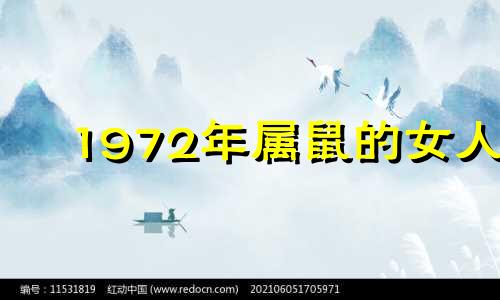 1972年属鼠的女人 1972年鼠女一生怎么样