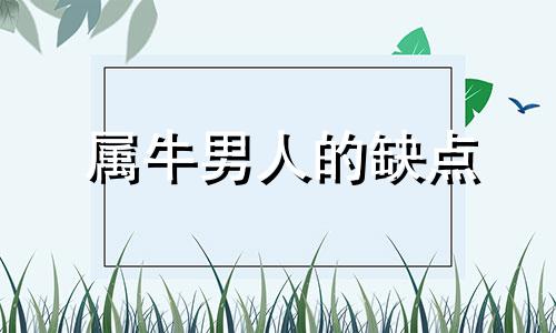 属牛男人的缺点 属牛男的人性格和优缺点