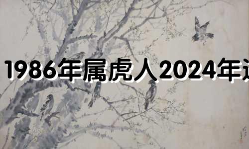 1986年属虎人2024年运势 属虎1986年男性2023年