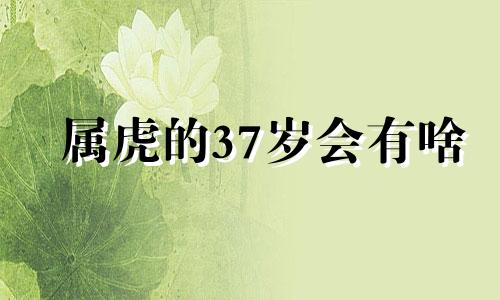 属虎的37岁会有啥 属虎的人35岁以后