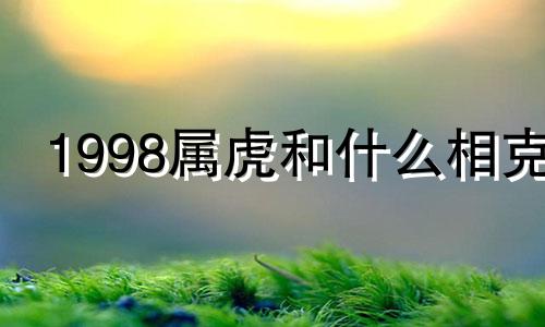 1998属虎和什么相克 属虎和什么相克和相冲