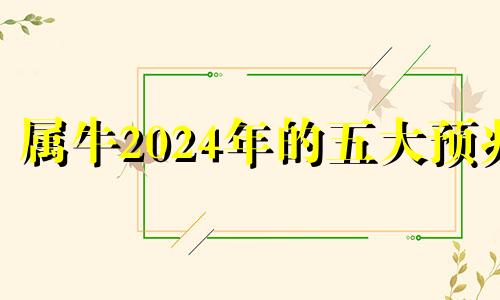 属牛2024年的五大预兆 1985属牛二婚哪一年