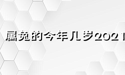 属兔的今年几岁2021年 属兔的今年几年