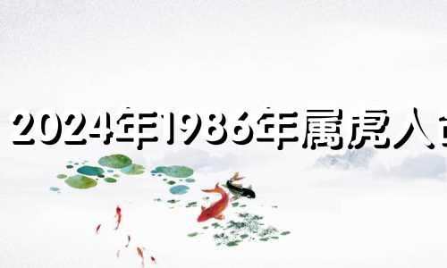 2024年1986年属虎人命运 虎在2024年的运势