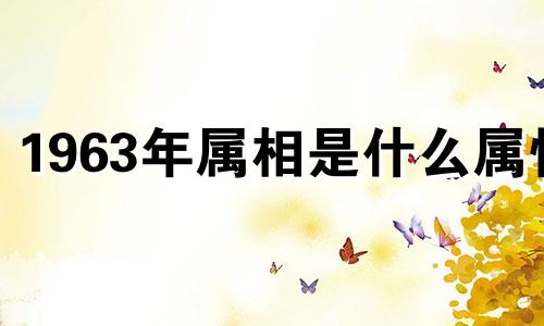 1963年属相是什么属性 1963年属相是什么生肖虎