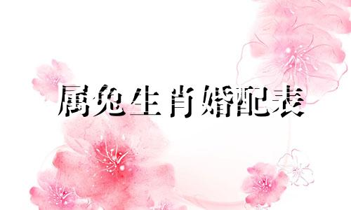 属兔生肖婚配表 属兔的婚姻配属什么的最好?