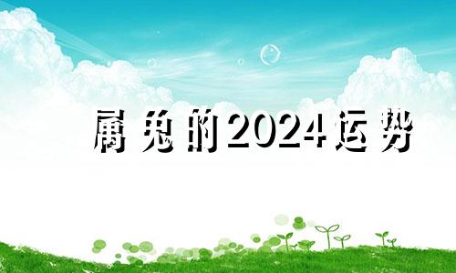 属兔的2024运势 属兔运势2024年运势详解