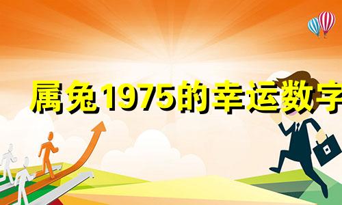 属兔1975的幸运数字 1975生肖兔的幸运数字和颜色