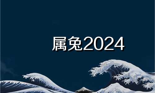 属兔2024 属兔的买24楼的房子怎么样