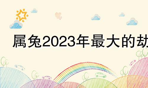 属兔2023年最大的劫 属猪2024年最大的劫