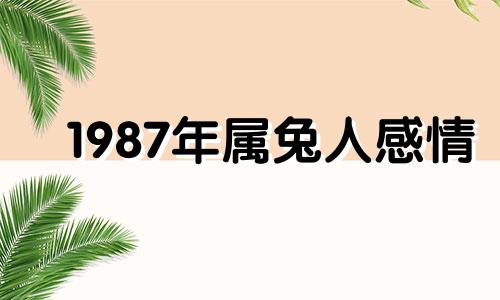 1987年属兔人感情 1987年属兔的感情运势