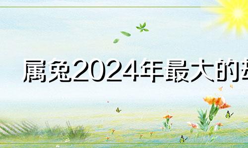 属兔2024年最大的劫 1999年属兔2024