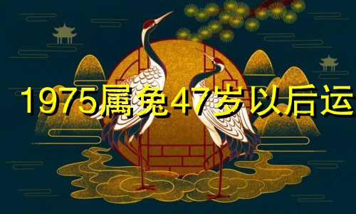 1975属兔47岁以后运气 1975属兔45岁以后运气会发财吗