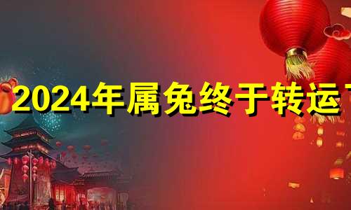 2024年属兔终于转运了 兔的正缘桃花是谁